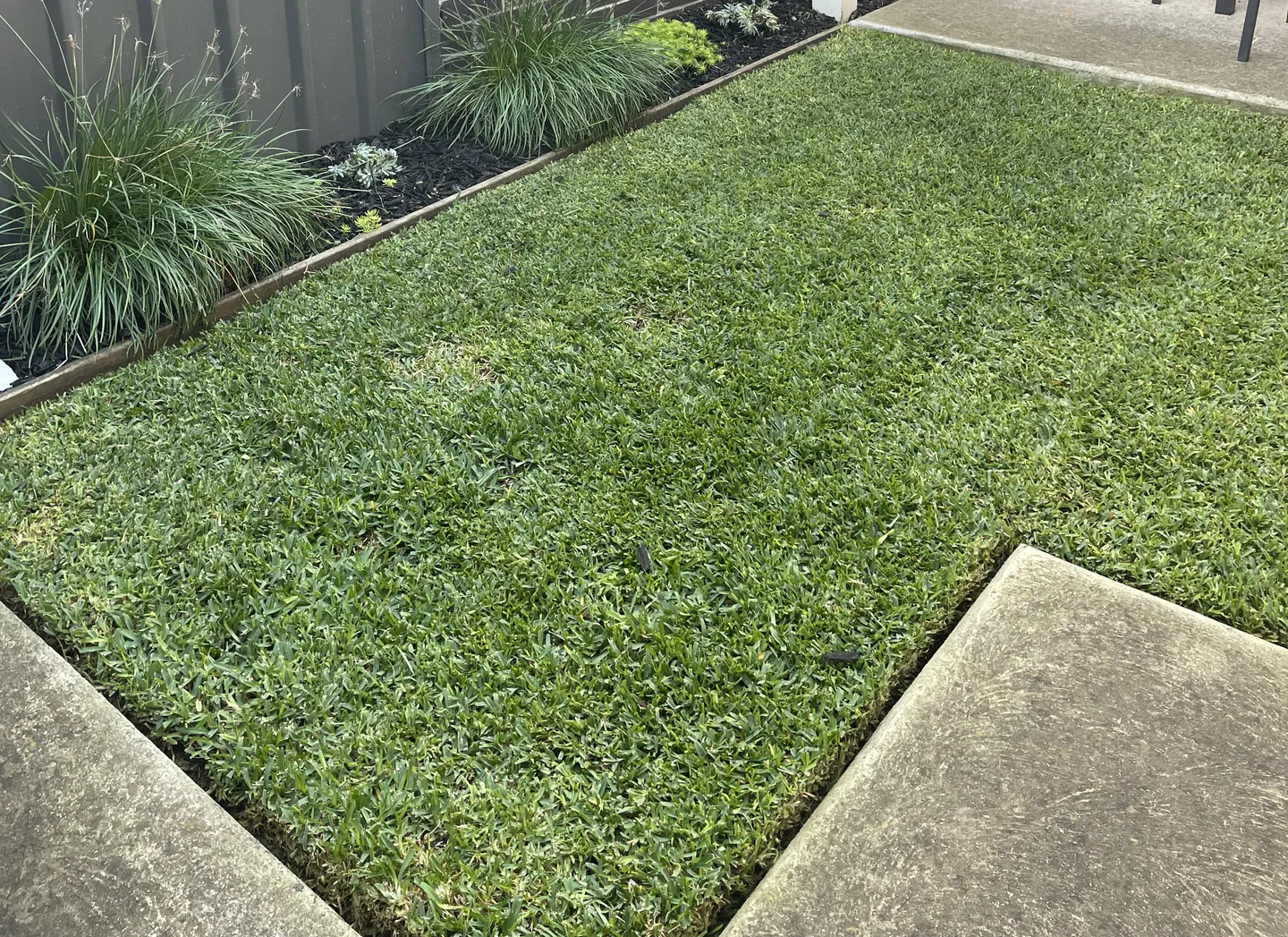 A residential backyard in Brooklyn with freshly mowed green grass and clean edges
