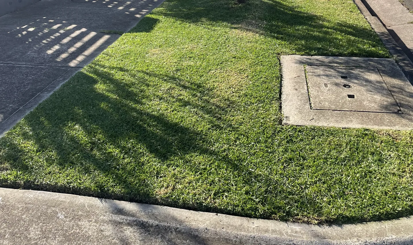 A clean nature strip with short grass and straight edges, beside a concrete footpath