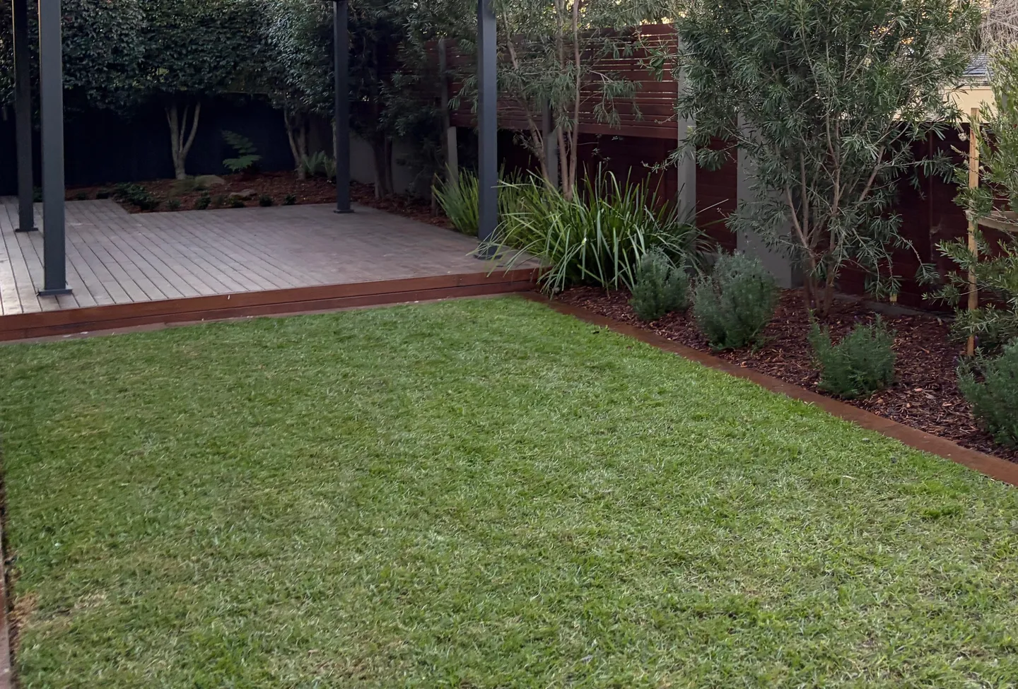 A freshly mown green backyard lawn neatly edged alongside a raised timber deck and mulched garden bed with native shrubs