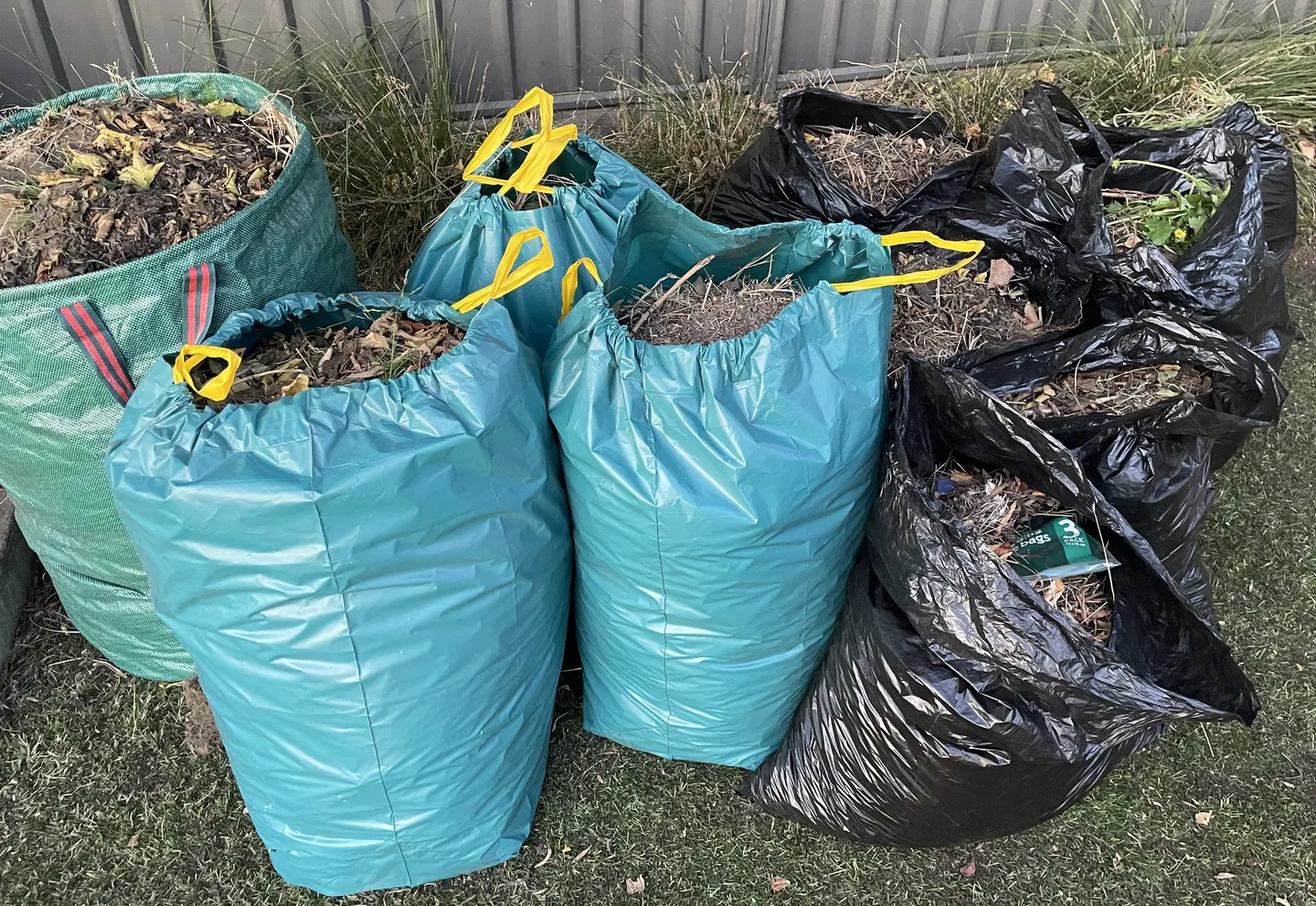 Green waste collection bags filled with dirt, leaves and other garden clippings, sitting on a front lawn