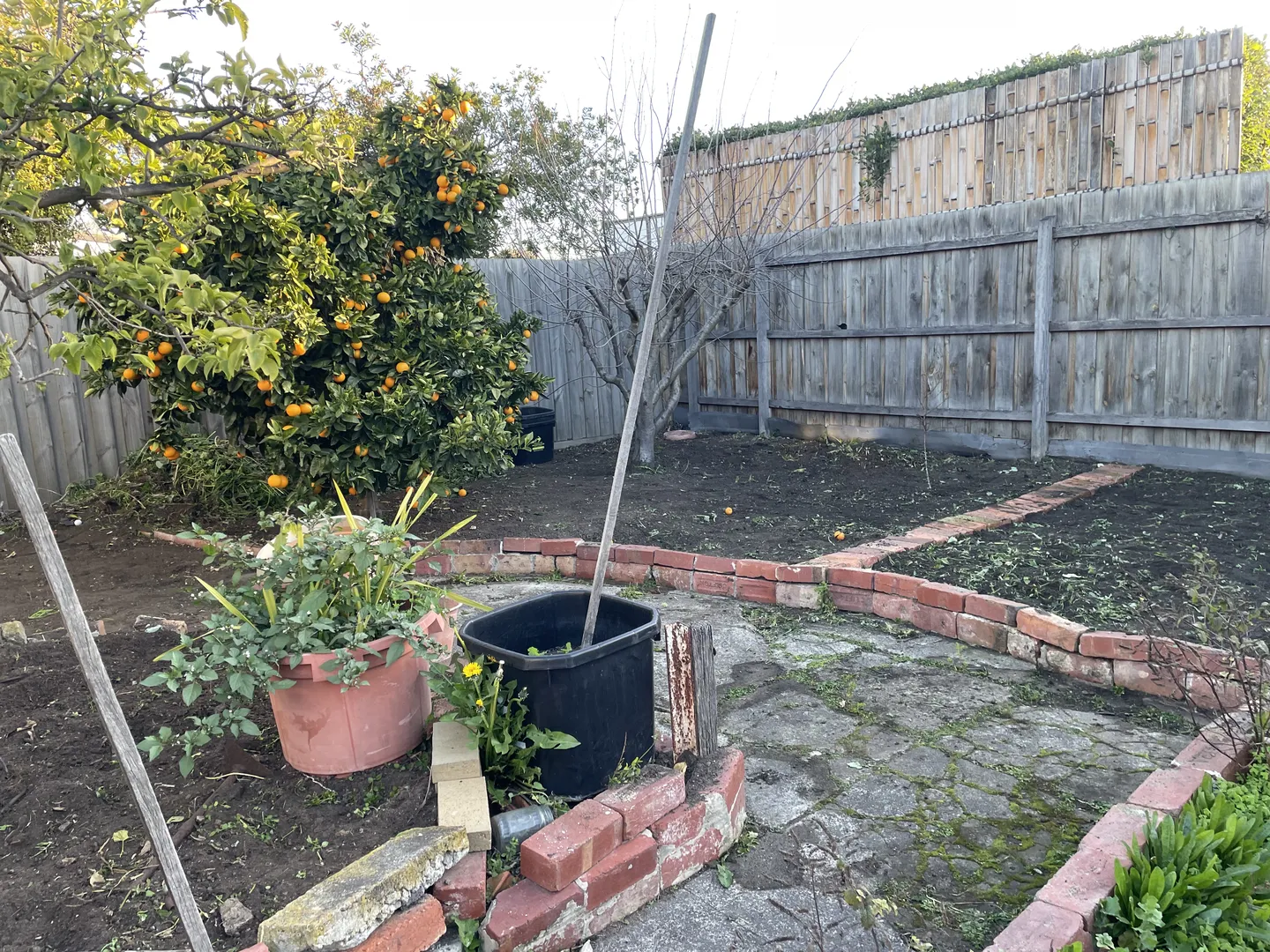 An after picture showing a freshly cleared, dark soil garden bed bordered by a low red brick wall and a wooden fence, with some leftover green weed debris scattered throughout the soil