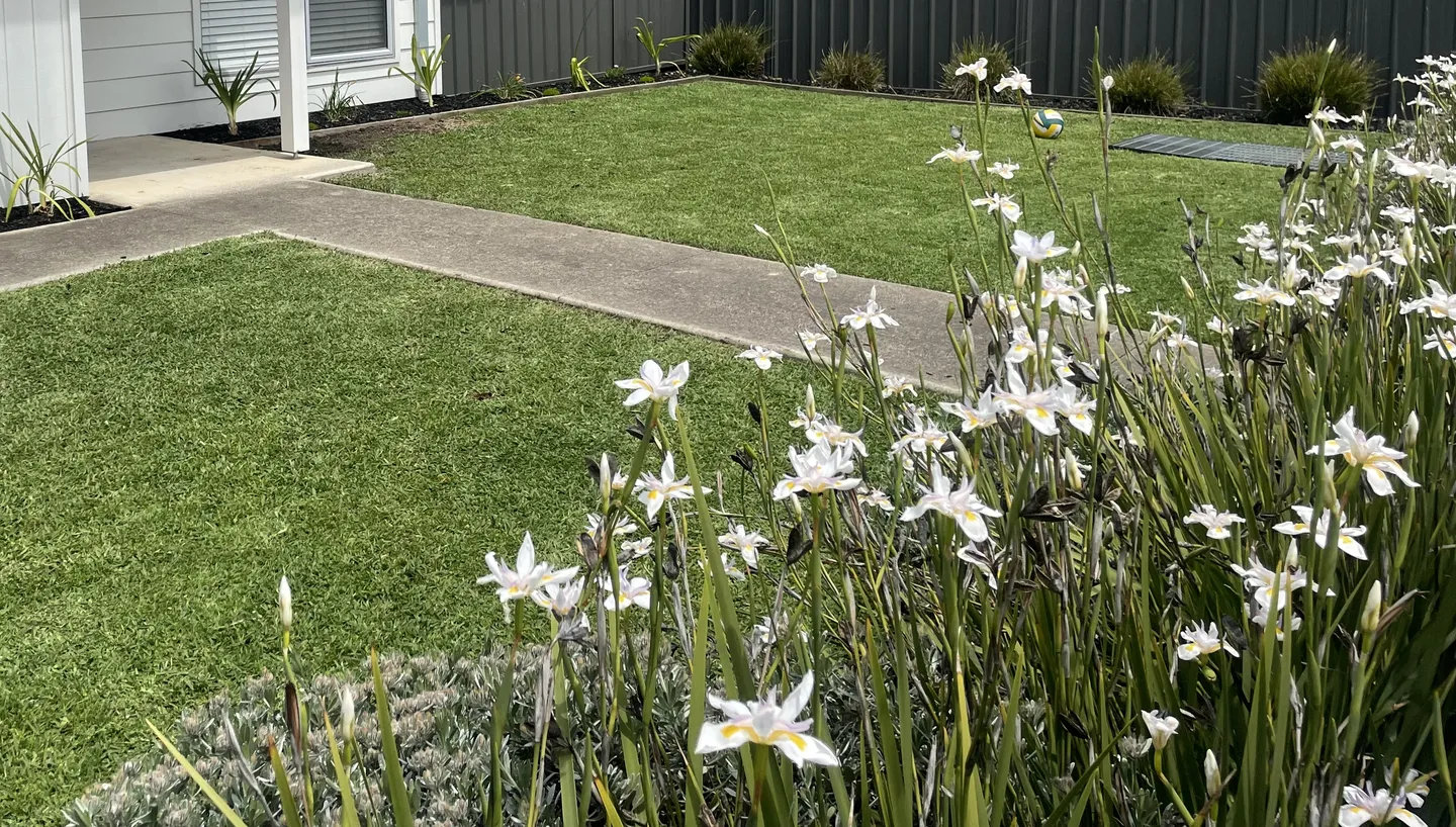 A front garden lawn with freshly trimmed grass and neat edges along its concrete and garden bed borderings, broken up by a pathway in the middle