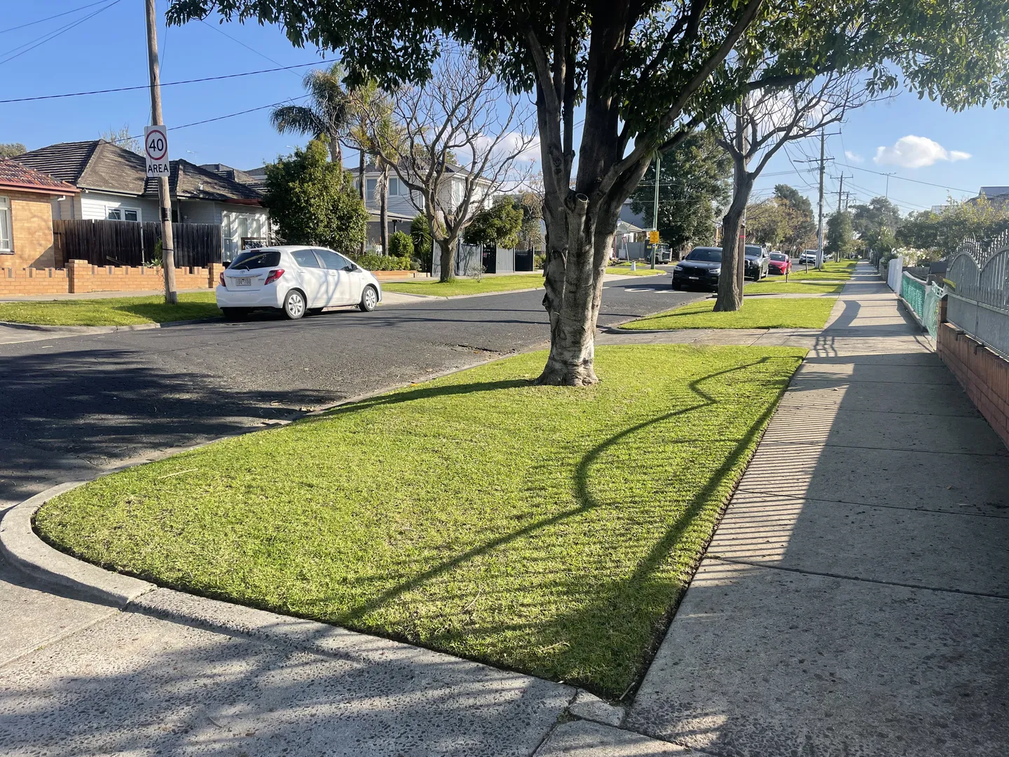 Freshly mowed green grass nature strip showing neat lawn edging