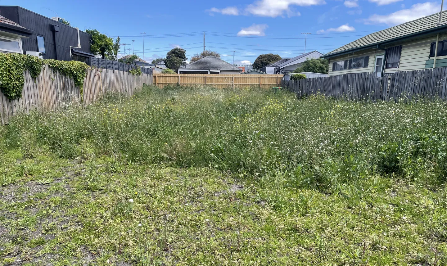 Overgrown residential vacant lawn with wild tall grass before mowing